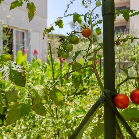 Apartament Family Ina *