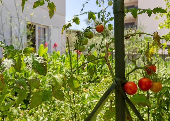 Apartament Family Ina *